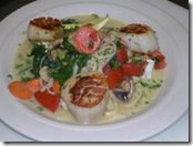 Sea Scallops