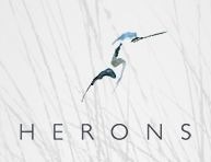 herons